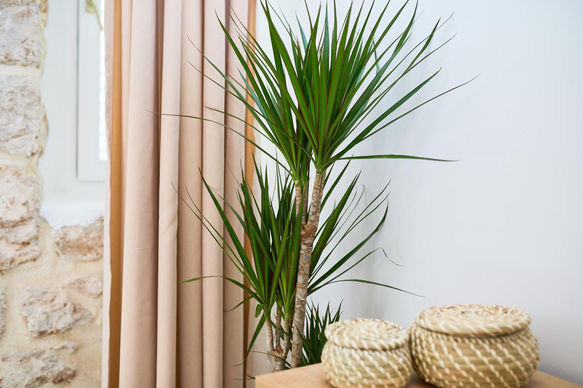 Apartment Iza Grada Ντουμπρόβνικ Εξωτερικό φωτογραφία
